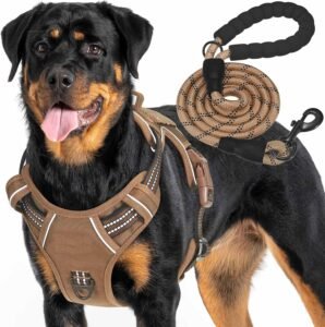 Arnés pechera Militar para perro de trabajo Haapaw Rottweiler