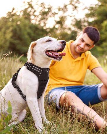 Arnes pechera RabbitGoo Labrador