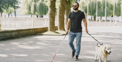 Arnes para perros guía. Julius K9