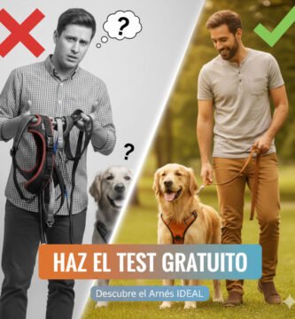 Test Interactivo Gratis. Selector de Arnés Inteligente